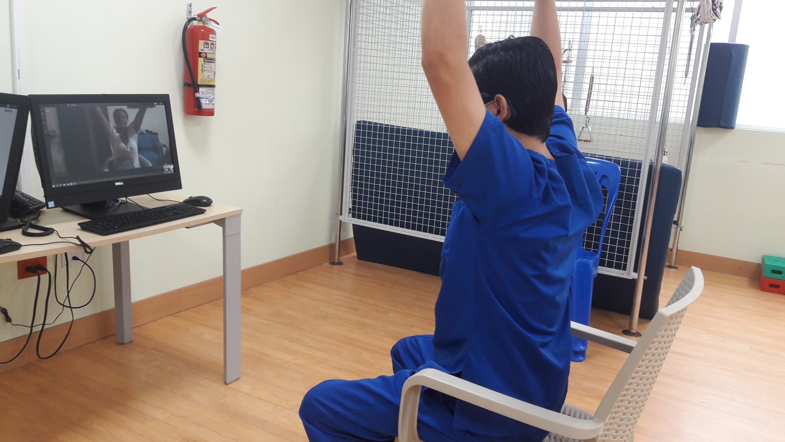 telehealth therapy Illinois